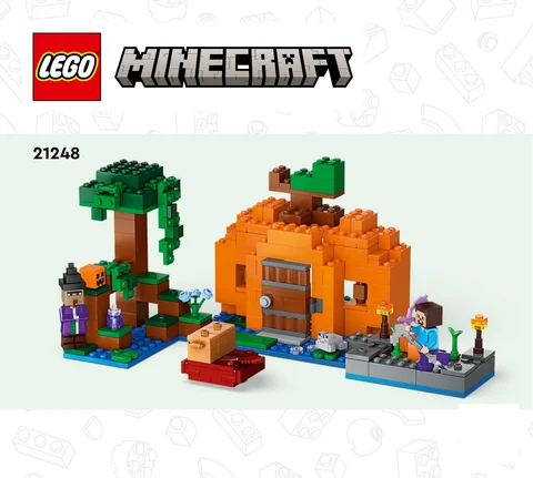 lego 乐高 21248